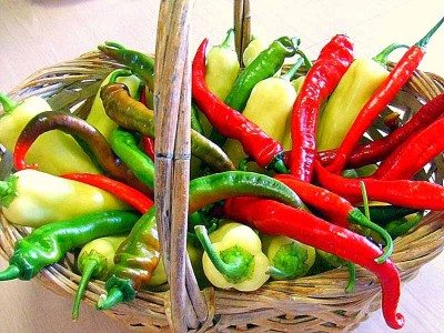 Organic Eating And Growing With Italian & Mexican Chiles